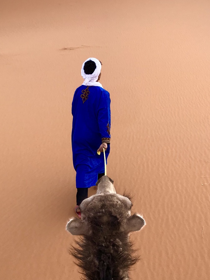 Tuareg guide on a dromedary in the Moroccan desert, the blue robes that inspired the Blu Majorelle finish