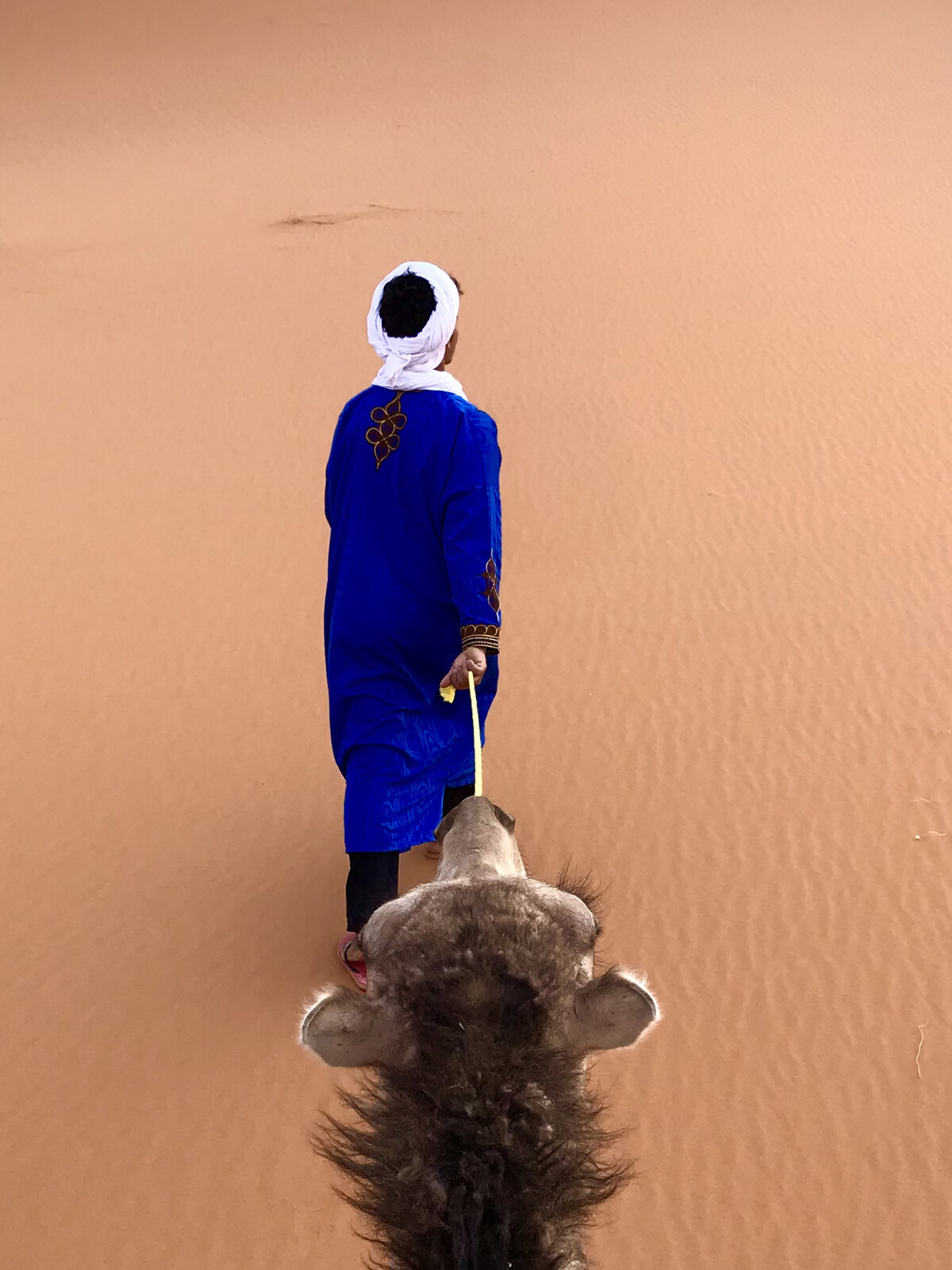 Tuareg guide on dromedary in the Moroccan desert, wearing traditional blue robes that inspired the Blue Majorelle finish